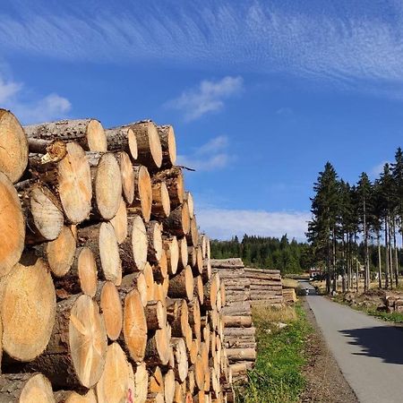 Harz Blick Apartamento Braunlage Exterior foto