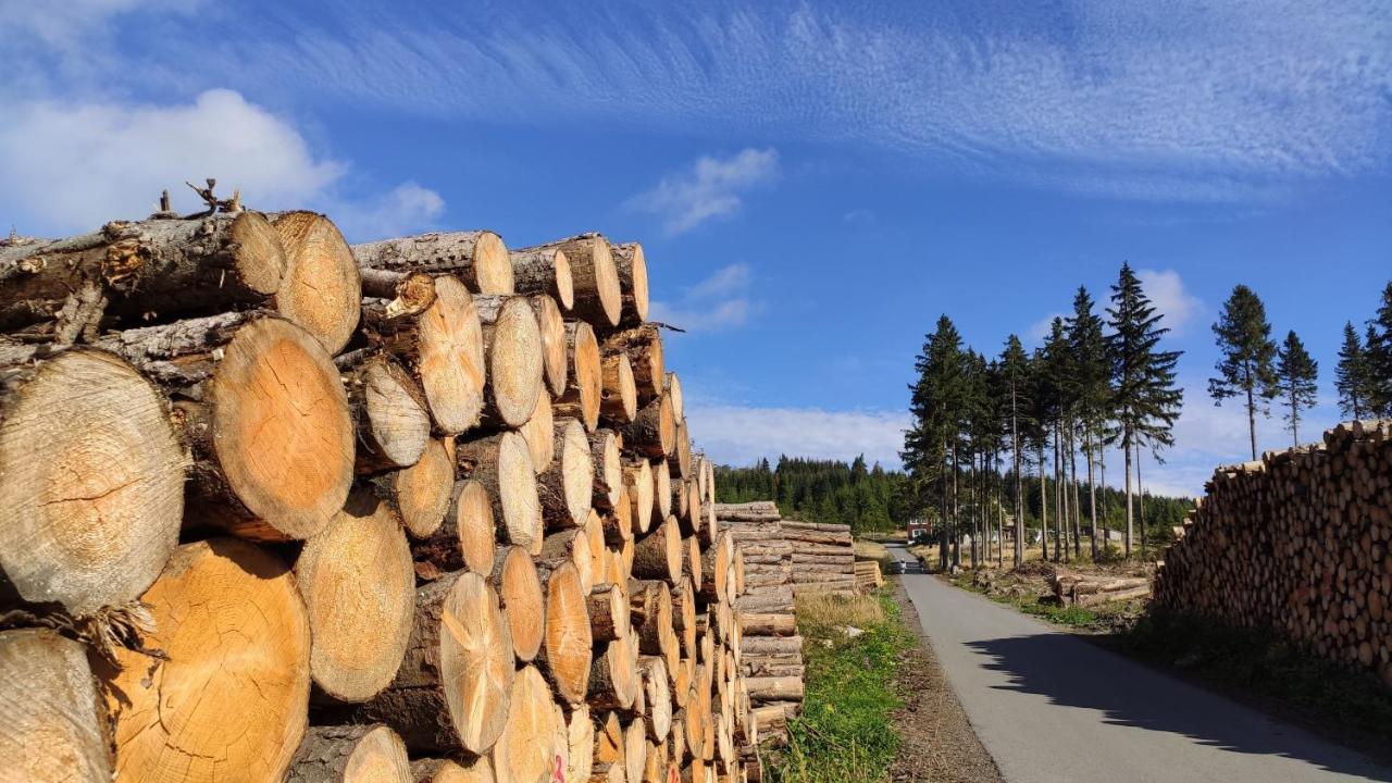 Harz Blick Apartamento Braunlage Exterior foto