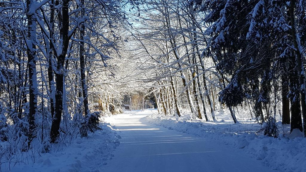 Harz Blick Apartamento Braunlage Exterior foto