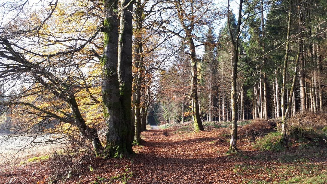 Harz Blick Apartamento Braunlage Exterior foto
